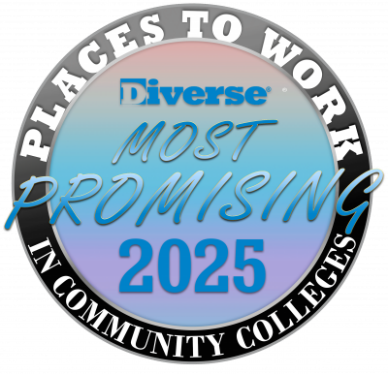 Diverse Most Promising Place to Work 2025